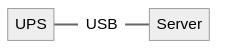 Physical connection between the UPS and the server